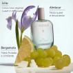 Eau de Toilette Caudalie Eau des Vignes Eau Fraiche 50 ml Eau de Toilette Caudalie Eau des Vignes Eau Fraiche 50 ml