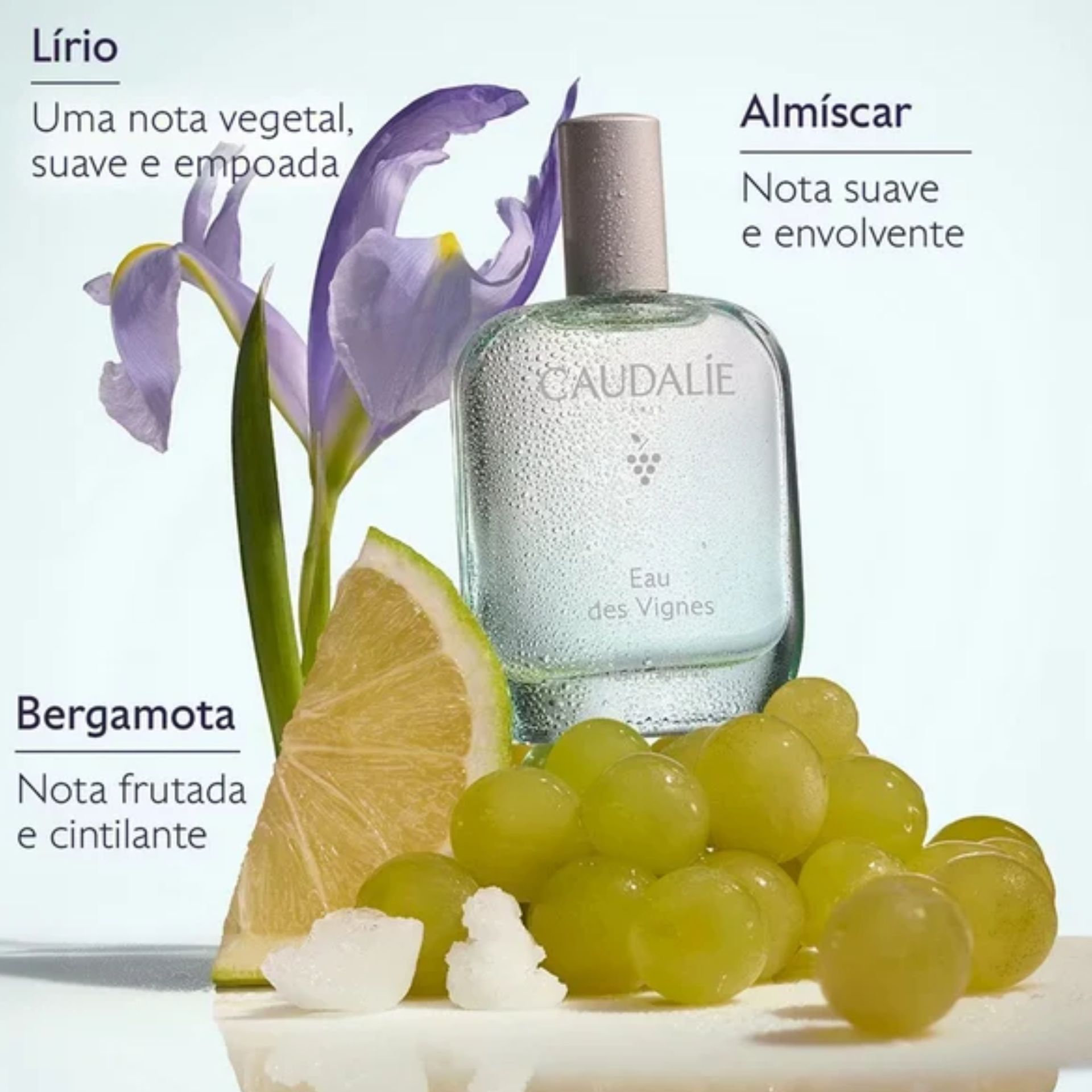 Eau de Toilette Caudalie Eau des Vignes Eau Fraiche 50 ml