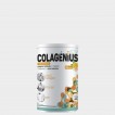 Colagenius Active Laranja Pó - 345g Colagenius Active Laranja Pó - 345g